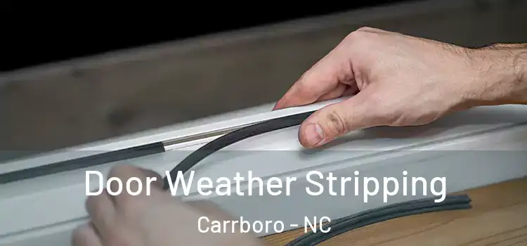 Door Weather Stripping Carrboro - NC