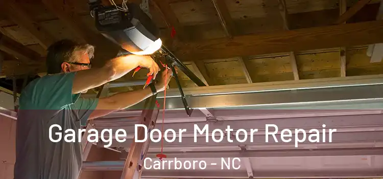  Garage Door Motor Repair Carrboro - NC