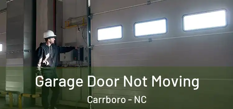  Garage Door Not Moving Carrboro - NC