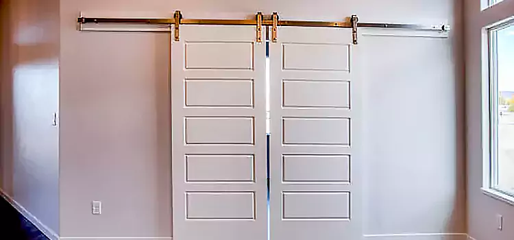 Glass Barn Door with Installation Hardware Kit Carrboro