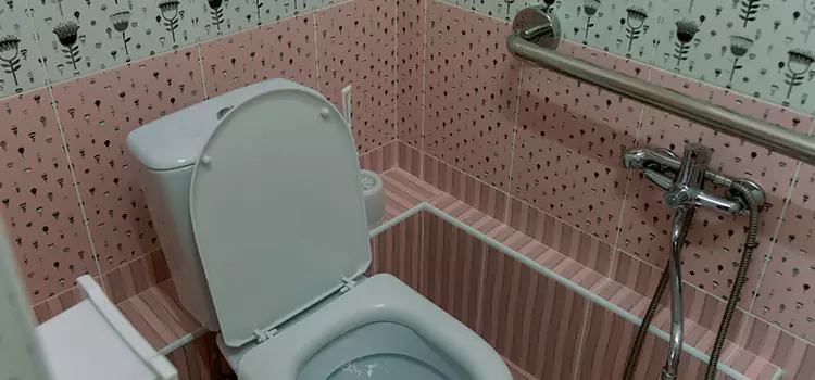 Meeting Diverse Needs With Accessible Restroom Solutions in Carrboro, NC