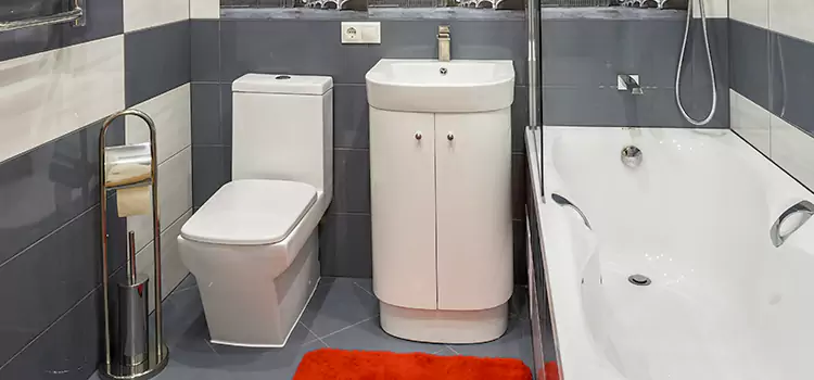 Hansgrohe Shaving Mirror Carrboro