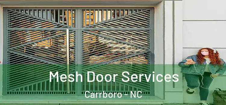 Mesh Door Services Carrboro - NC